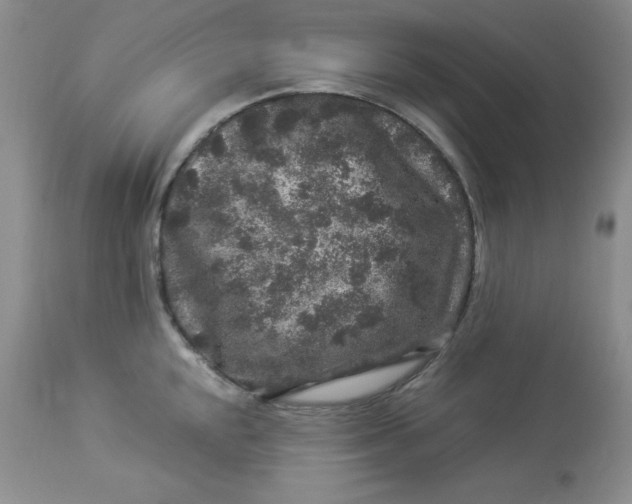 X0000112901048200909181931