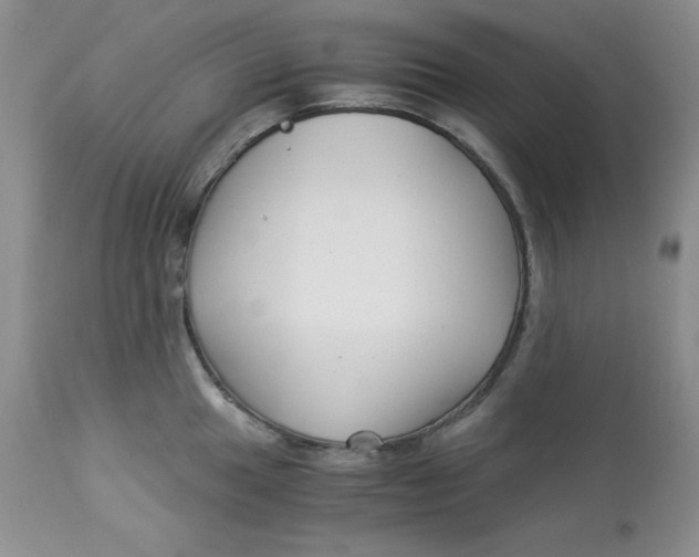 X0000112901049200909181931