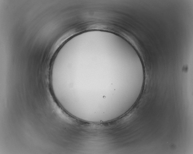 X0000112901050200909181931
