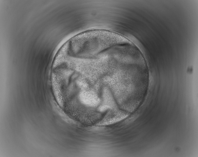 X0000112901052200909181931