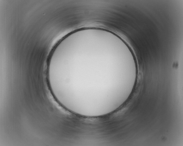 X0000112901053200909181931