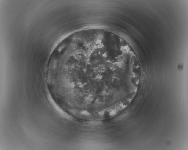 X0000112901055200909181931