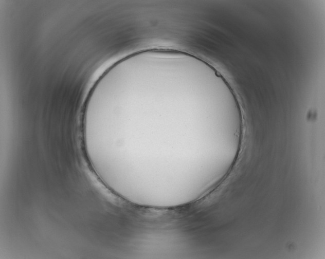X0000112901056200909181931