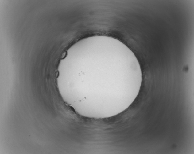 X0000112901057200909181931