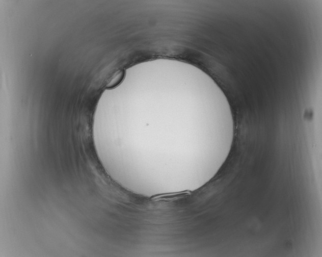 X0000112901058200909181931