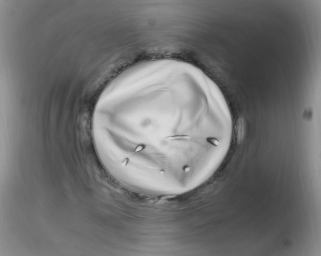 X0000112901059200909181931