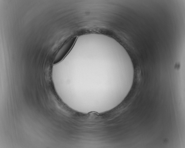 X0000112901060200909181931