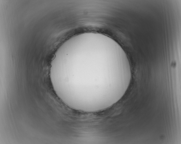 X0000112901061200909181931