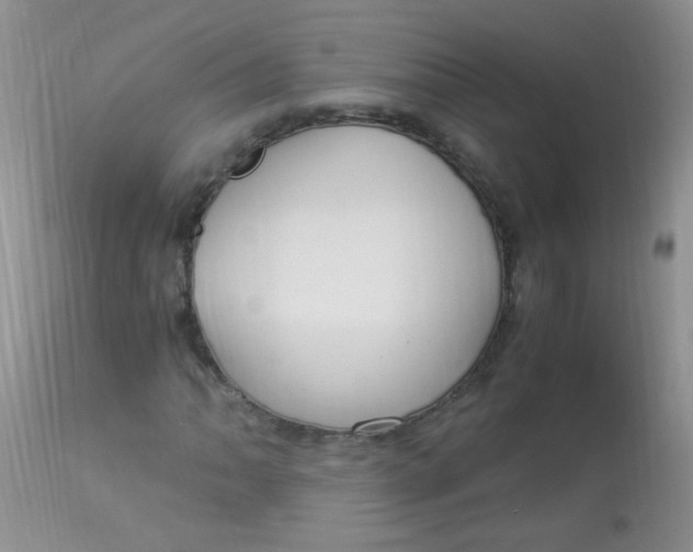 X0000112901062200909181930