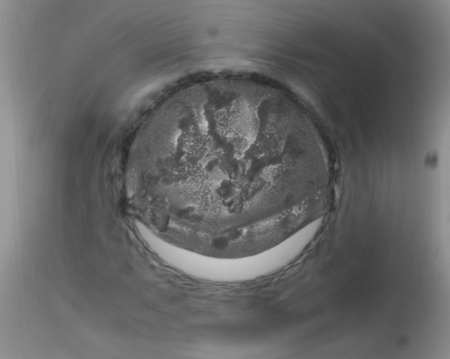 X0000112901063200909181930