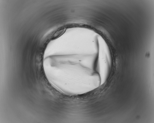 X0000112901064200909181930