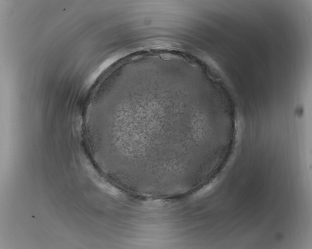 X0000112901065200909181930
