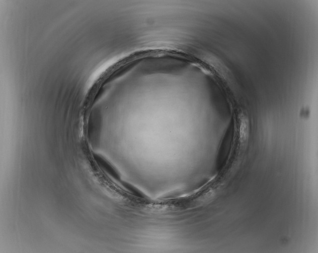 X0000112901069200909181930