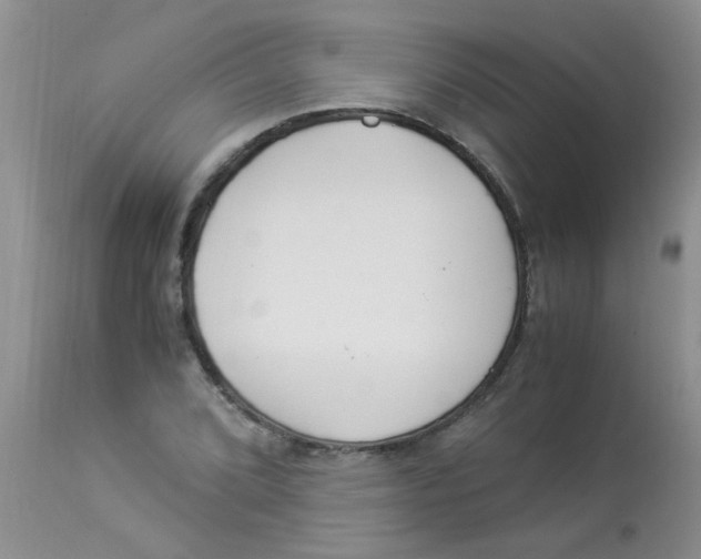 X0000112901072200909181930