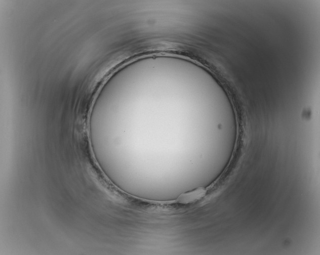 X0000112901073200909181930