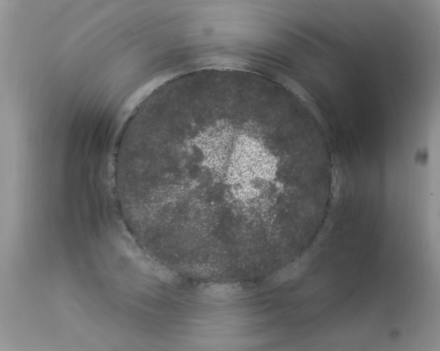 X0000112901074200909181930
