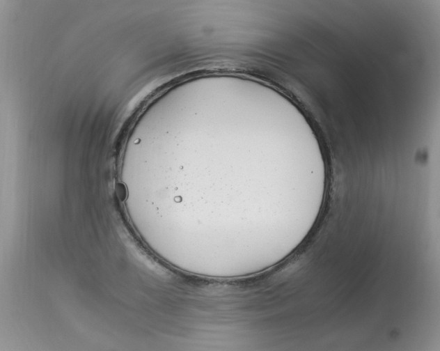 X0000112901075200909181930