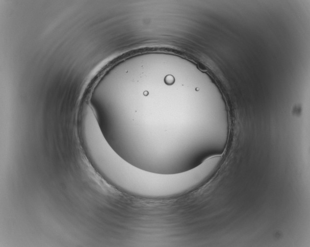 X0000112901076200909181930