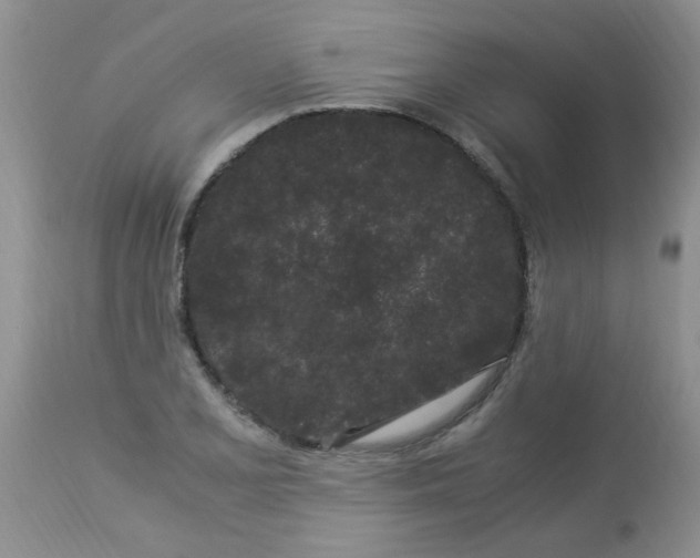 X0000112901077200909181930