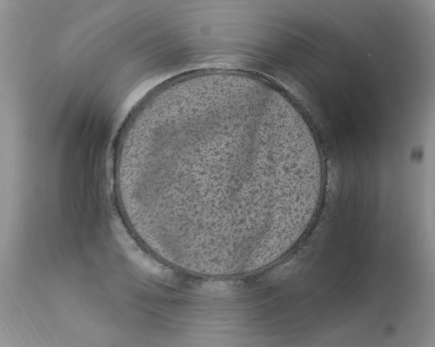 X0000112901078200909181930