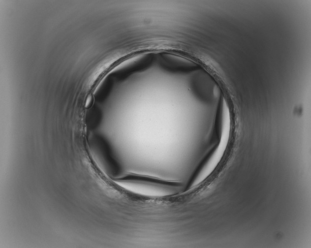X0000112901081200909181930
