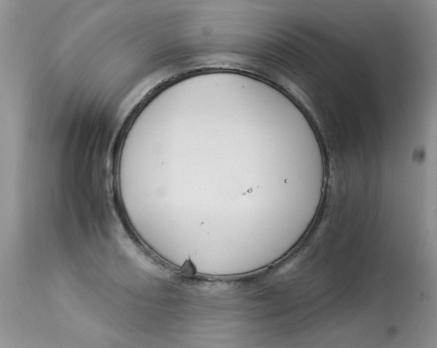 X0000112901082200909181930