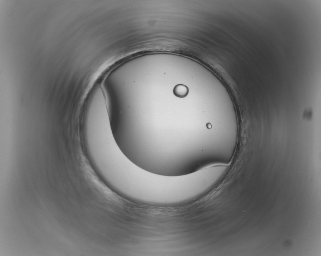 X0000112901083200909181930