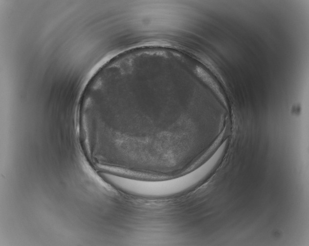 X0000112901084200909181930
