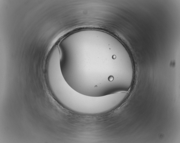 X0000112901085200909181930