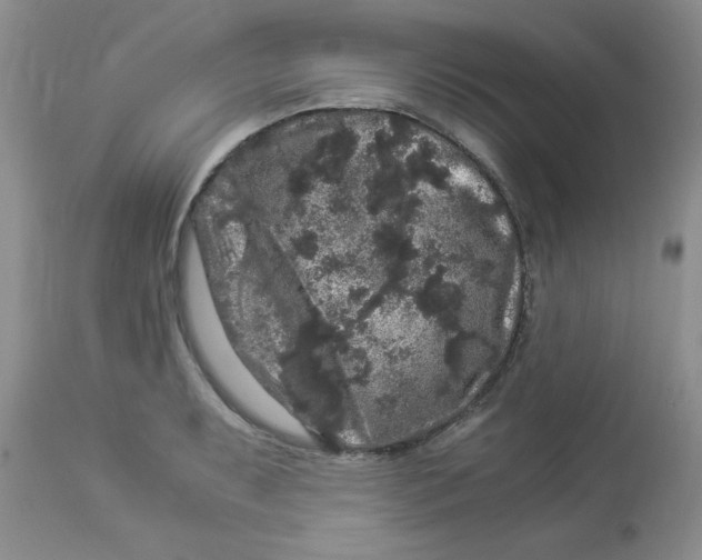 X0000112901087200909181930