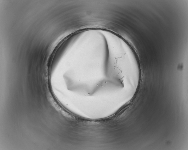 X0000112901088200909181930