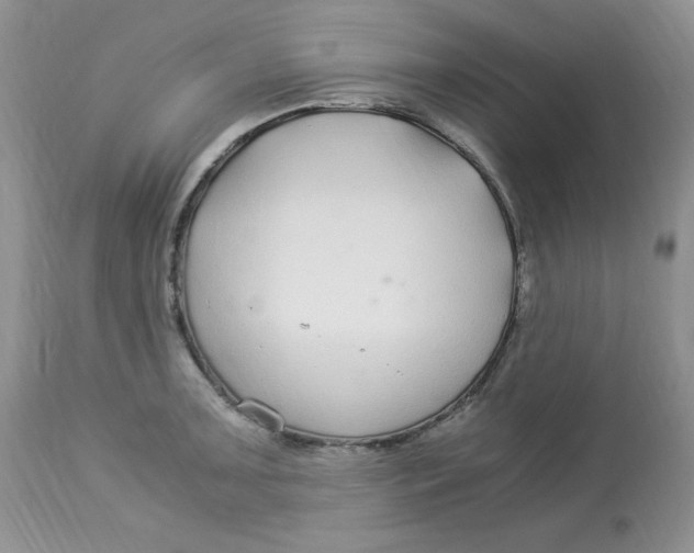 X0000112901091200909181930