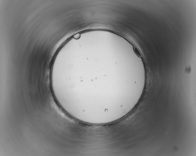 X0000112901092200909181930