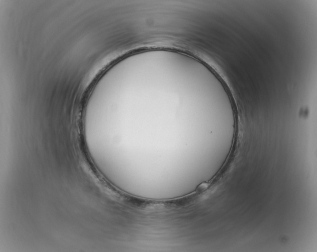 X0000112901093200909181930