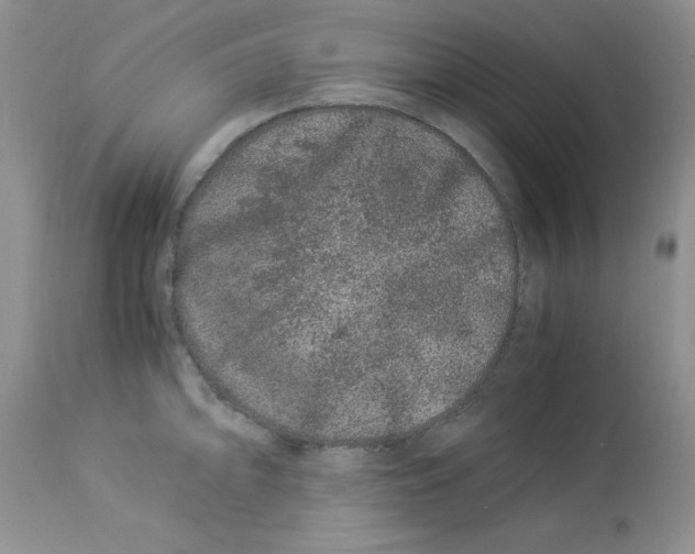 X0000112901094200909181930
