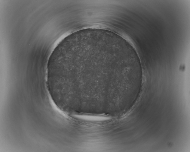 X0000112901095200909181930