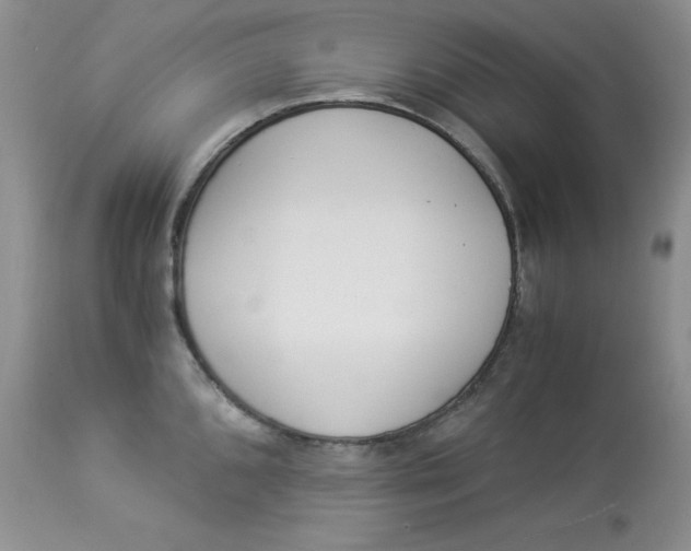 X0000112901096200909181930