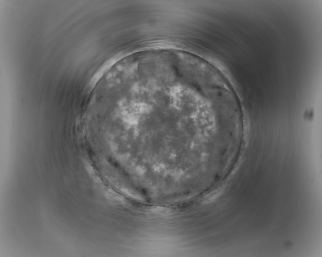 X0000112901097200909181930