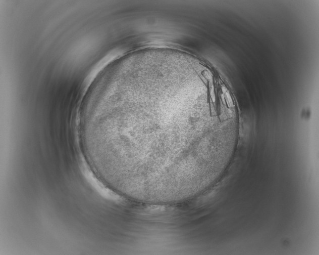 X0000112901098200909181930