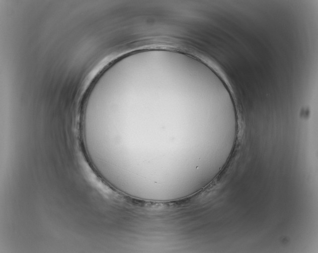 X0000112901099200909181930