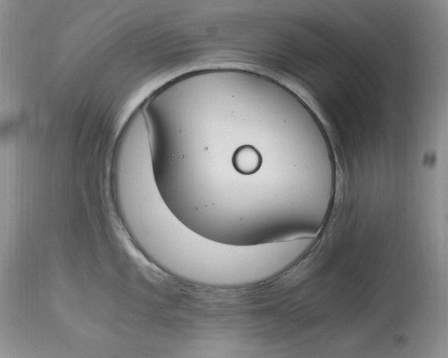 X0000112901101200909181930