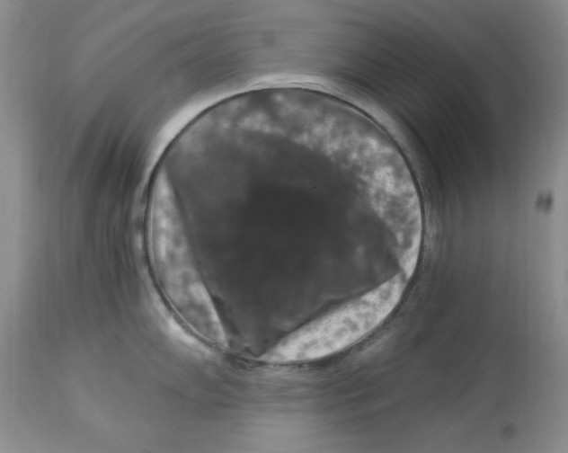 X0000112901102200909181930