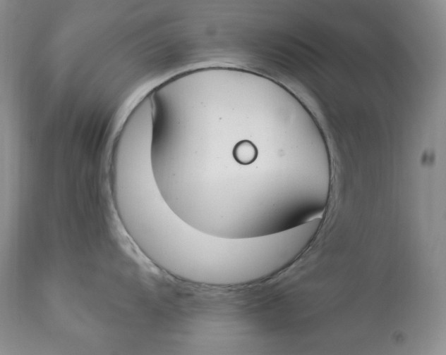 X0000112901104200909181930