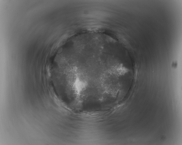 X0000112901106200909181929