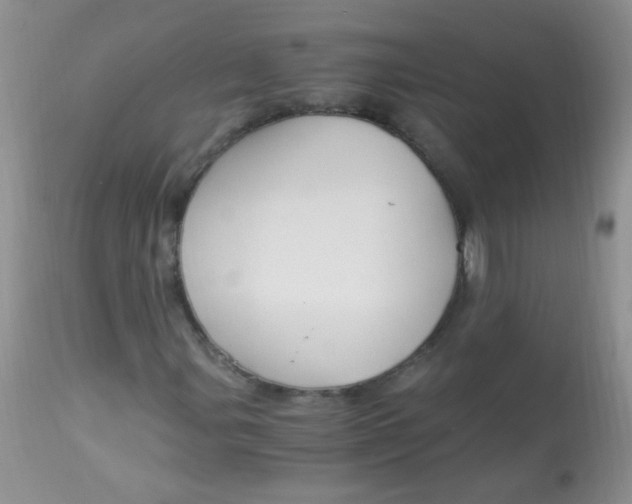 X0000112901107200909181929