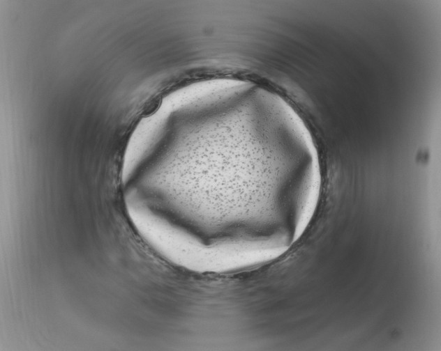 X0000112901110200909181929