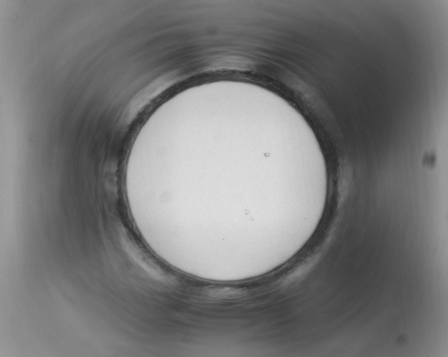 X0000112901113200909181929