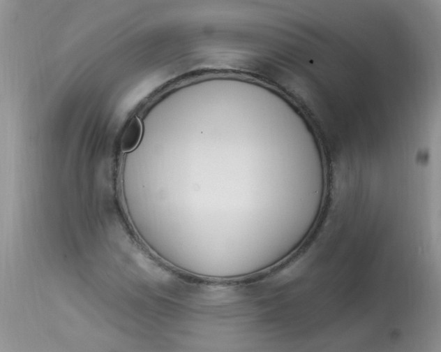 X0000112901114200909181929