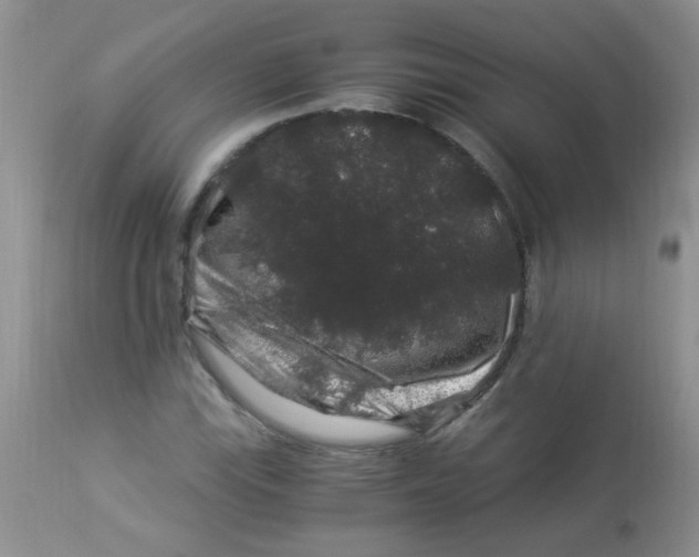 X0000112901115200909181929