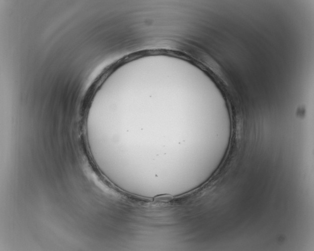 X0000112901116200909181929